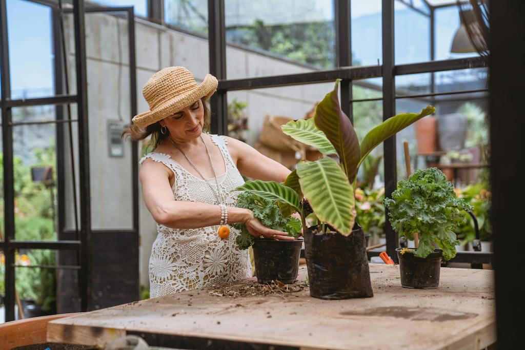 lady in a hat and a white sleeveless dress repotting some plants on a table in a large greenhouse