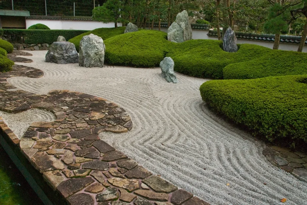 Zen garden with green architectural bushes and large rocks