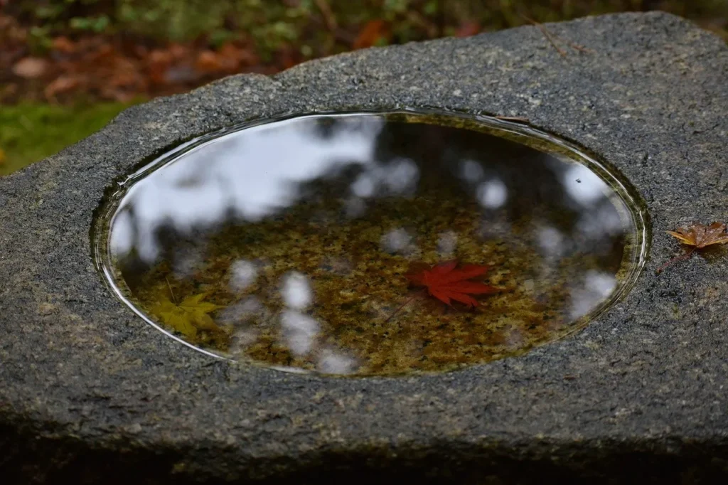 Pool of water in a large stone