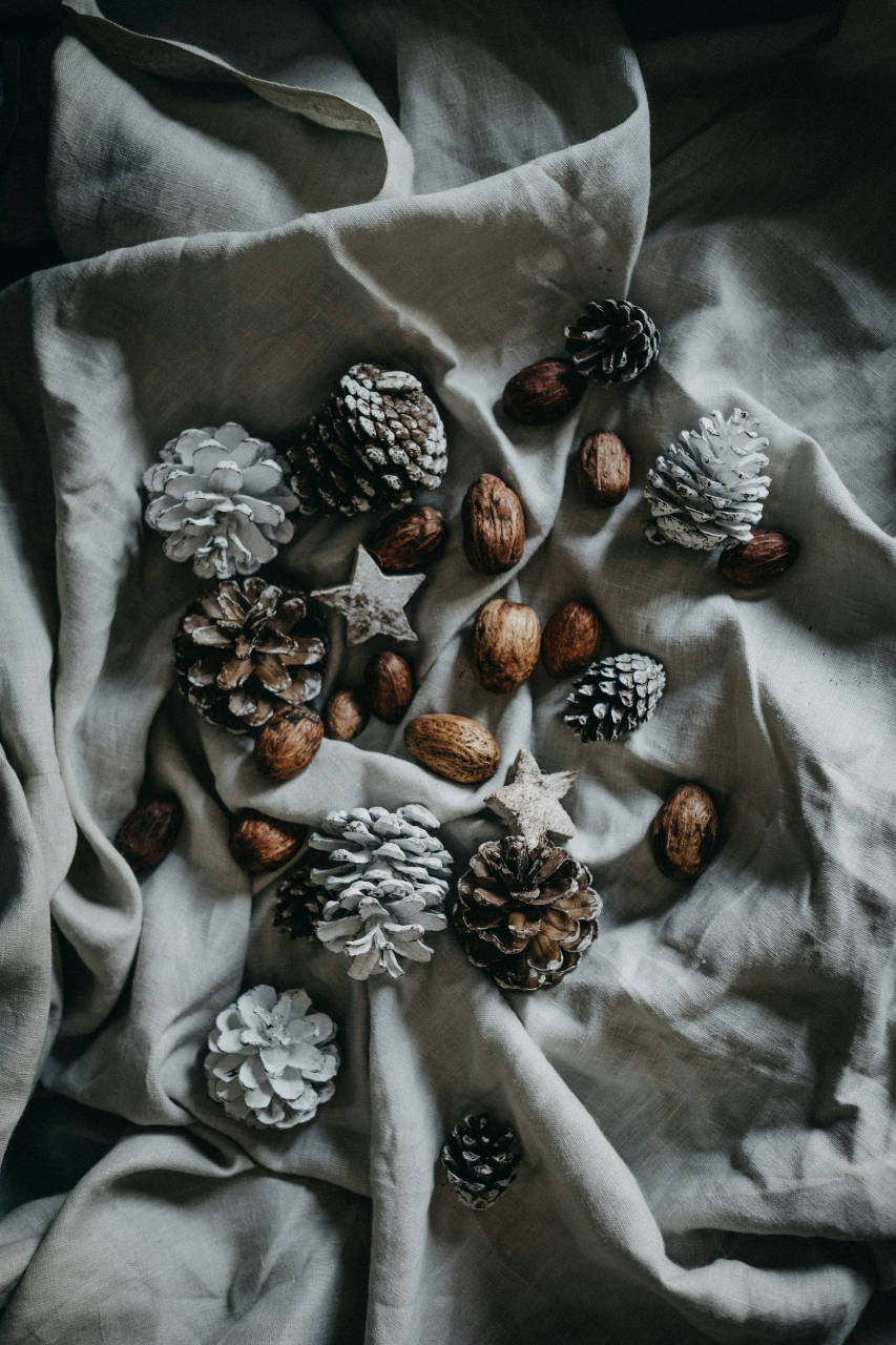 Chestnuts and Pinecones