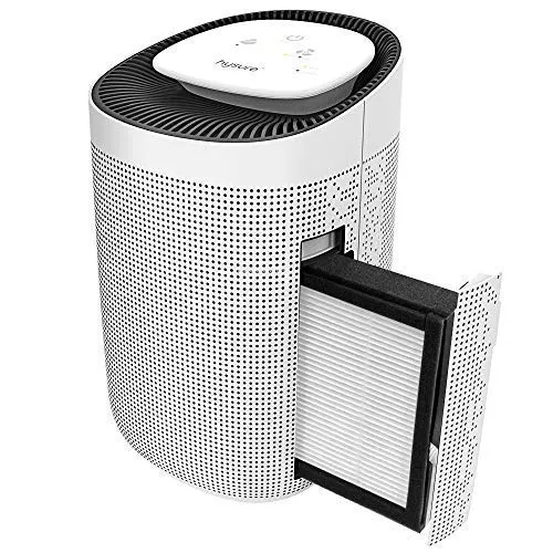 hysure 2 in 1 dehumidifier air purifier