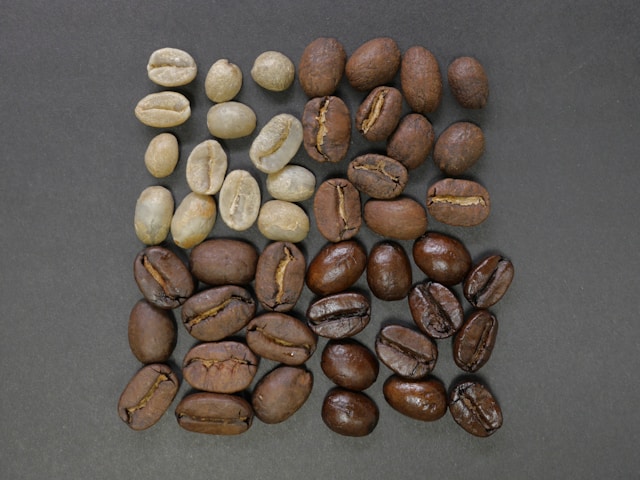 coffee bean colours light medium dark