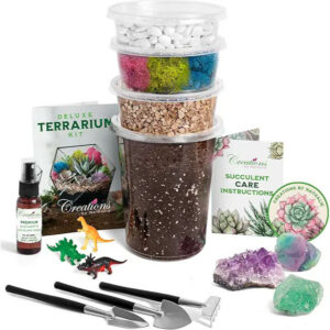 DIY Terrarium Starter Kit