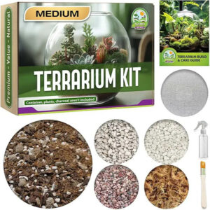 DUSPRO Recycle Terrarium Starter Kit