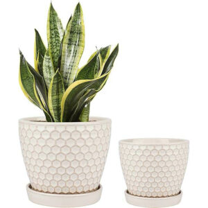 Docrin Ceramic Plant Pots Indoor