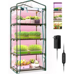 Indoor Greenhouse with Grow Lights