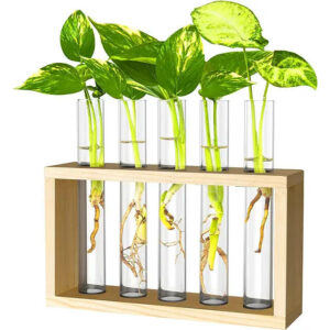 Ivolador Wall Mounted Hanging Plants Terrariumin Test Tube