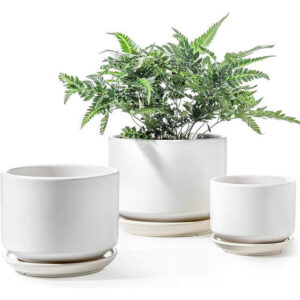 LE TAUCI Ceramic Plant Pots Set of 3 Planters with Drainage Hole and Saucer