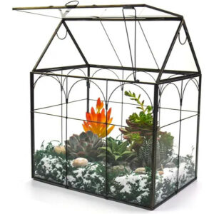 Large Tall Plant Greenhouse Terrarium Glass with Lid