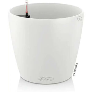 Lechuza Classico Self-Watering Planter