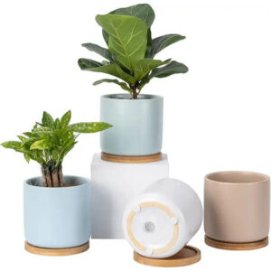 OMAYKEY Succulent Ceramic Planter Plant Pot with Tray