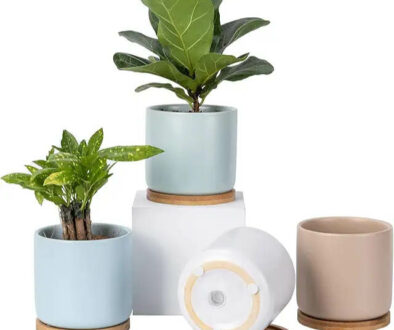 OMAYKEY Succulent Ceramic Planter Plant Pot with Tray