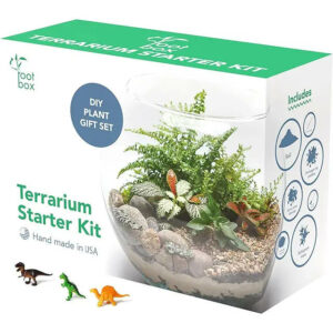 Root Box Large Terrarium Kit in Scented giftbox