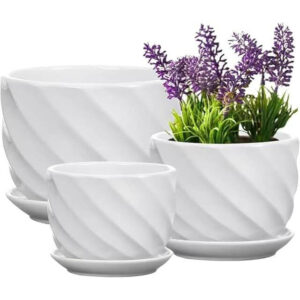 Set of 3 Ceramic Plant Pot Indoor with Saucers