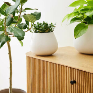 West Elm Handcrafted Pure White Ceramic Planters