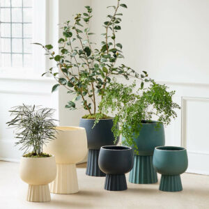 West Elm Handcrafted marta-ceramic-planter