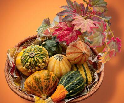 thanksgiving basket