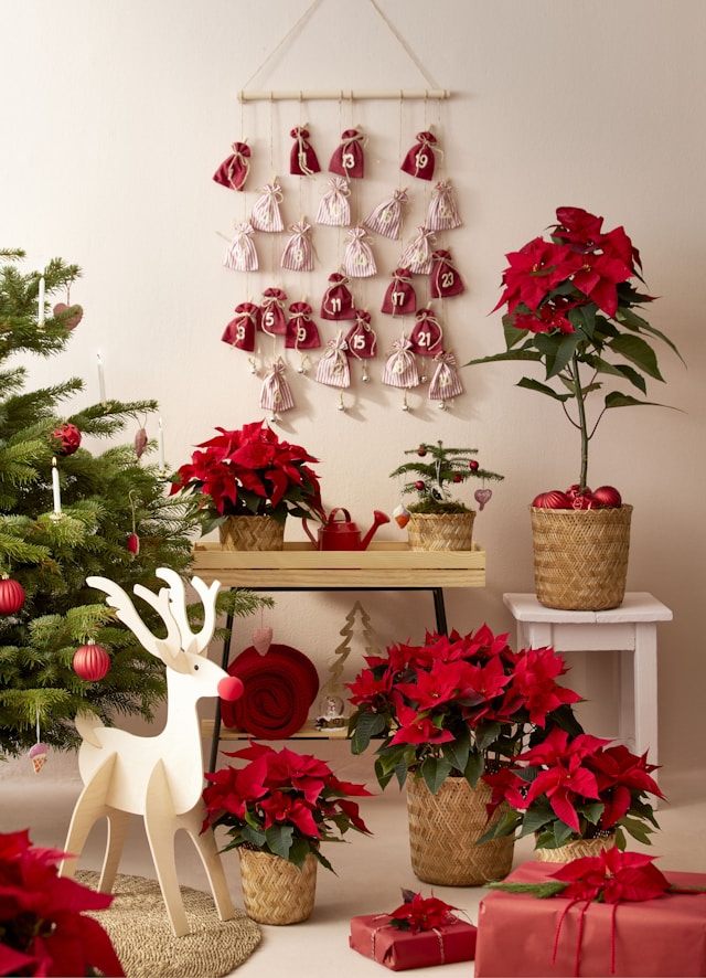 red and white cloth bag for advent calendar