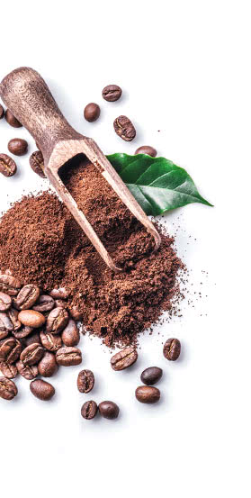 coffee-grilled-powder