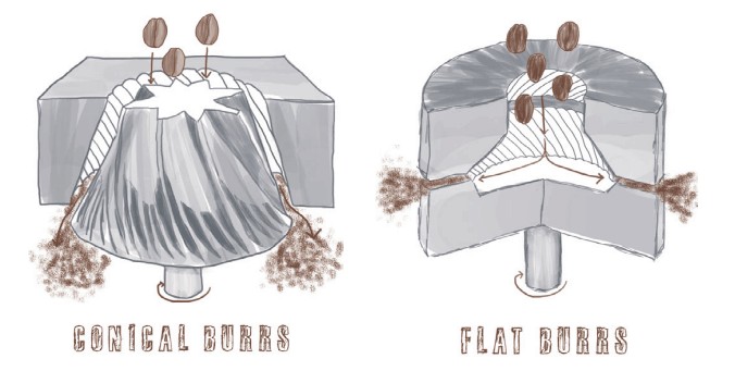 flat-vs-conical-burr-grinder