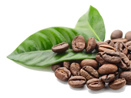 natural-coffee-bean