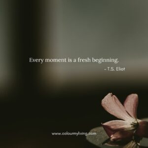 image: flower in bottom right foreground and bokeh background. Quote “Every moment is a fresh beginning.” – T.S. Eliot