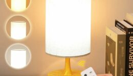 Light Therapy Modern Table Lamp