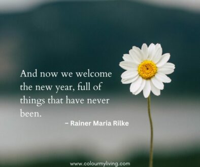 Image: Daisy in foreground and a blurry background of mountain and lake. Quote “And now we welcome the new year, full of things that have never been.” – Rainer Maria Rilke